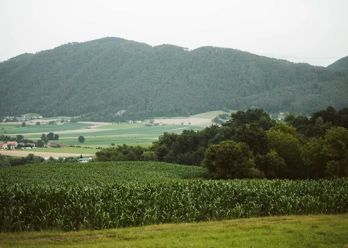 بيت للعطل Cozy With Fireplace And Scenic Hills In - Two Bedroom